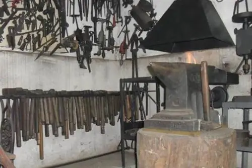 Купите подковообразные инструменты и мертвых птиц со скидкой