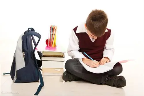 жалюзи 117812440