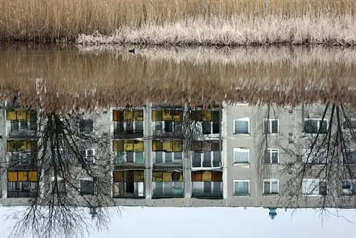 20394111 948309c9a75e28eaed039efa19ae6e70 xl