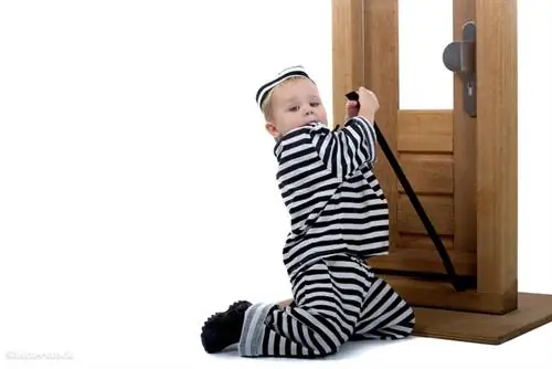 жалюзи 5327800