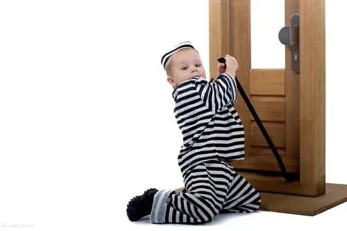 Помогите, мой ребенок ворует