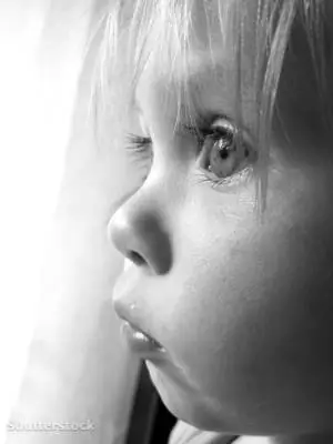 жалюзи 6598192