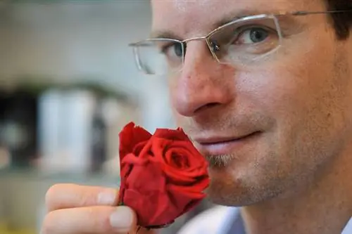 Ароматы – это самые грубые манипуляции