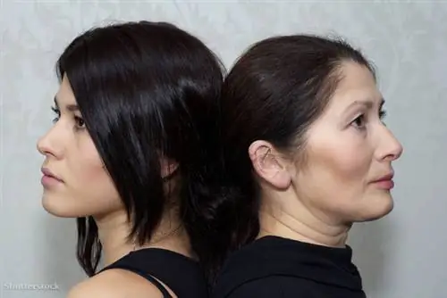 жалюзи 170127074