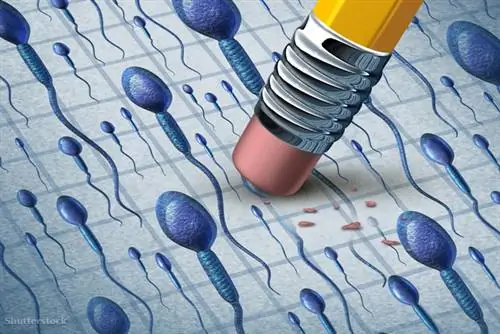 затвор 158518832