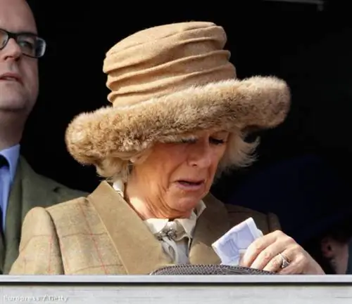 Британская элита доказывает свой дурной вкус в Челтнеме