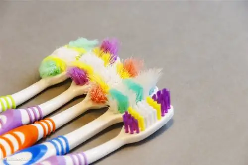 жалюзи 145199491