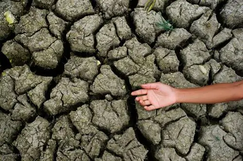 Затвор 145966259