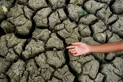 Является ли бесплодие действительно психологическим заболеванием?