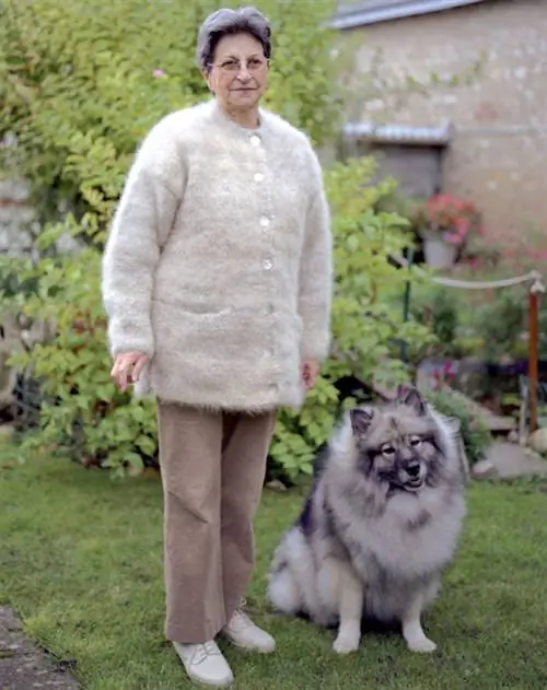 Новое увлечение популярно среди пожилых людей