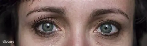 Один слой на правый глаз, ничего на левый. Если кликнуть на картинку, то можно увидеть ее в большем размере!