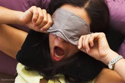 сонная муха