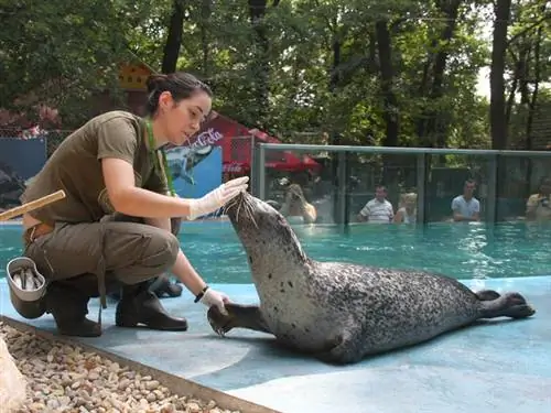Посетителей Сегедского парка дикой природы развлекают захватывающими кормлениями и мероприятиями
