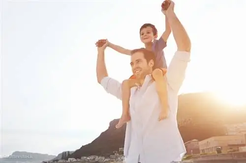 жалюзи 170208383