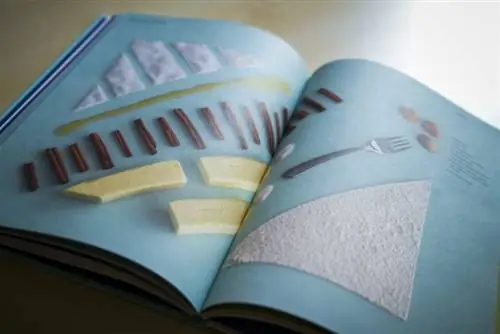 Случай Джейми с развратной шведской шишкой