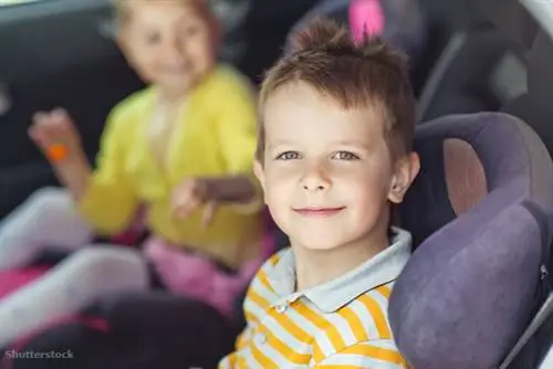 затвор 137222444