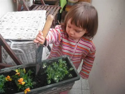 давай посадим2