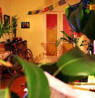 5 причин, почему стеклянные двери отвратительны