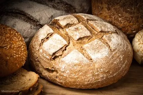 затвор 124773895