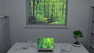 8 советов, как сделать офис уютнее