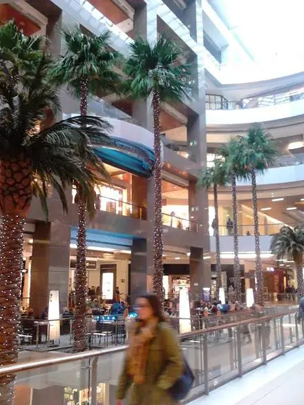 Освещенные пальмы на площади