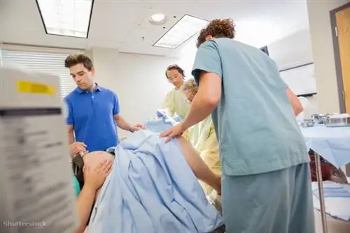 затвор 163572749