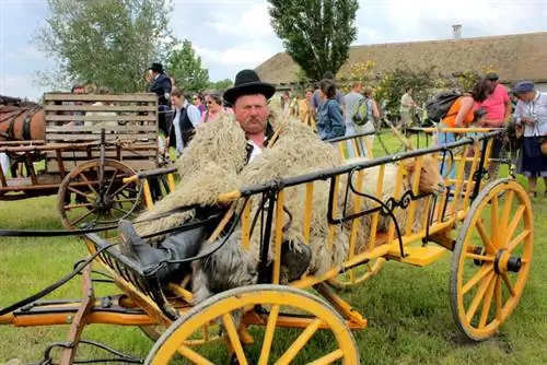 2010 Пятидесятница 765