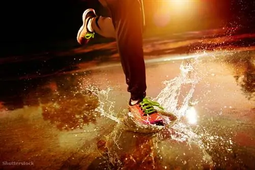 жалюзи 187911002