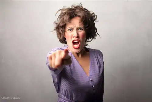 жалюзи 60855982