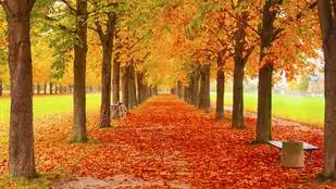 Аварка также может использоваться как клумба, защита от мороза и бункер для ежа