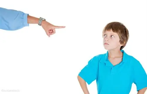 жалюзи 158415095