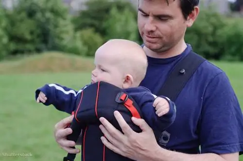 жалюзи 33292828