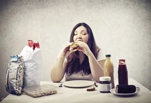 затвор 127373735