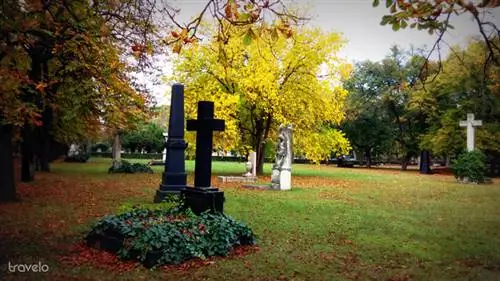 Осенние краски на кладбище