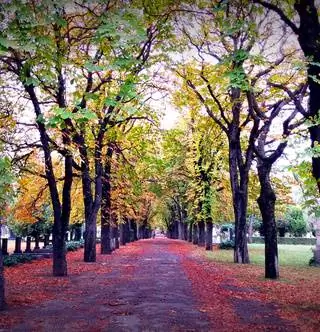 Туризм почти бесплатно, откройте для себя секреты Будапешта