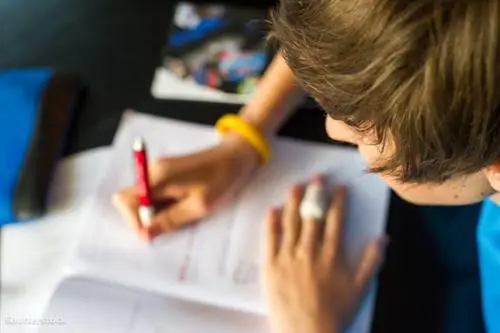 жалюзи 148640279