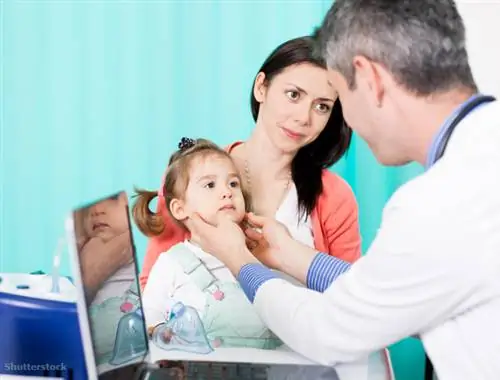 жалюзи 190822307