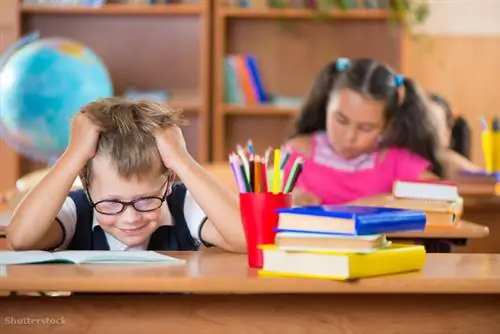 жалюзи 152908634