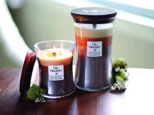 Вудвик-зефир-трилогия