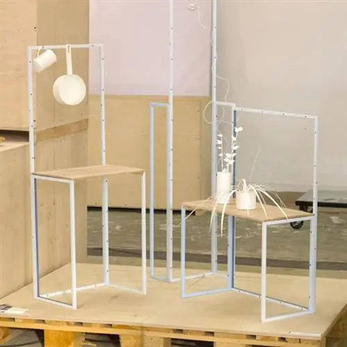 Хотя Фабриция Чанг, родившаяся в Тайбэе, но окончившая Академию дизайна в Эйндховене, мыслила с точки зрения единых и упорядоченных параметров, ее целью было вырваться из круга эстетически приемлемой мебели с помощью своей работы