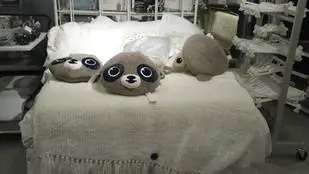 Магазины готовятся к зиме с мехом и синтетикой