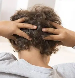 Воюем уже месяц и вши вот-вот победят