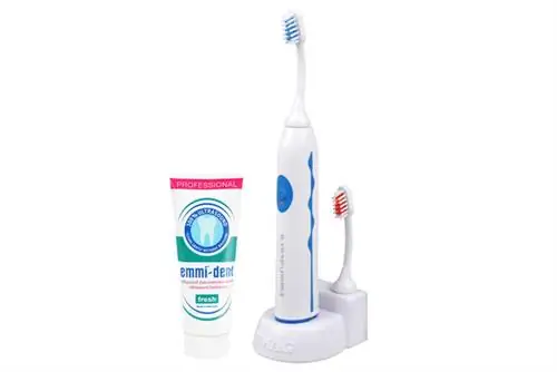 по всей видимости