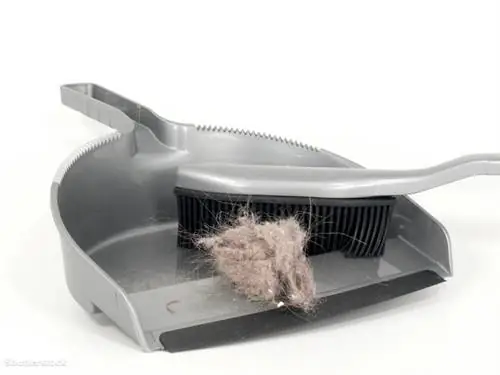 жалюзи 79518907