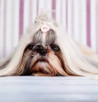 Список желаний десятимесячного ребенка