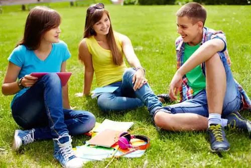 жалюзи 107309390