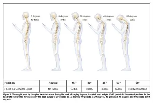 позвоночник-исследование.pdf-2