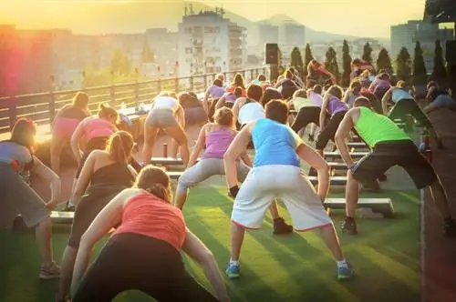 Летом они полностью используют террасу на крыше