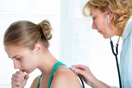 жалюзи 151516097