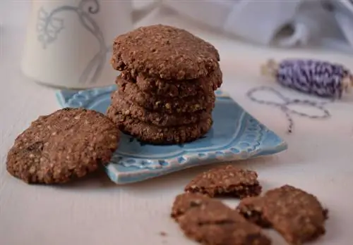 Шоколадное овсяное печенье1